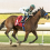 Kentucky Oaks Prep Races: Sunland Park Oaks Odds